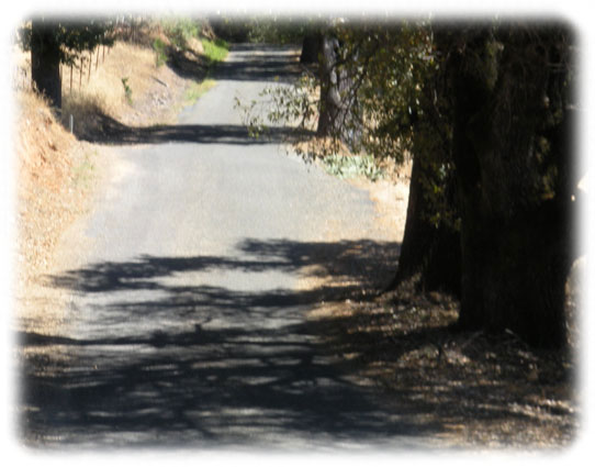 TheRoad51 (45K)